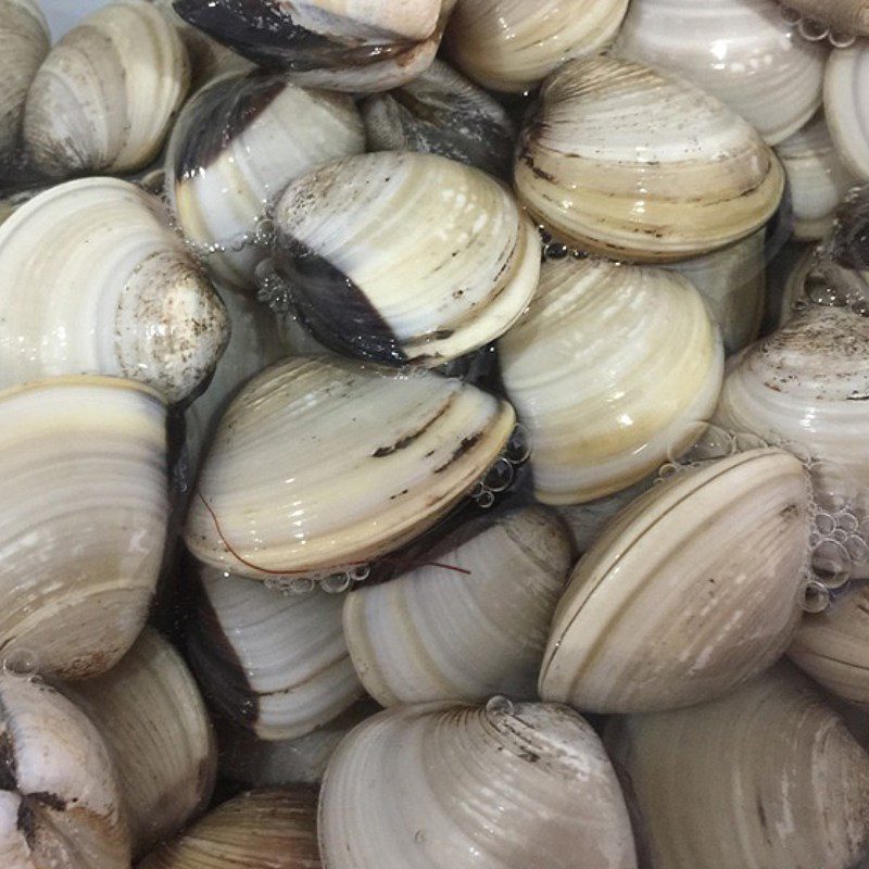 Step 1 Prepare the ingredients for Sour and Spicy Clam Soup