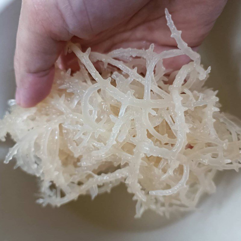 Step 1 Prepare the ingredients for Seaweed Jelly