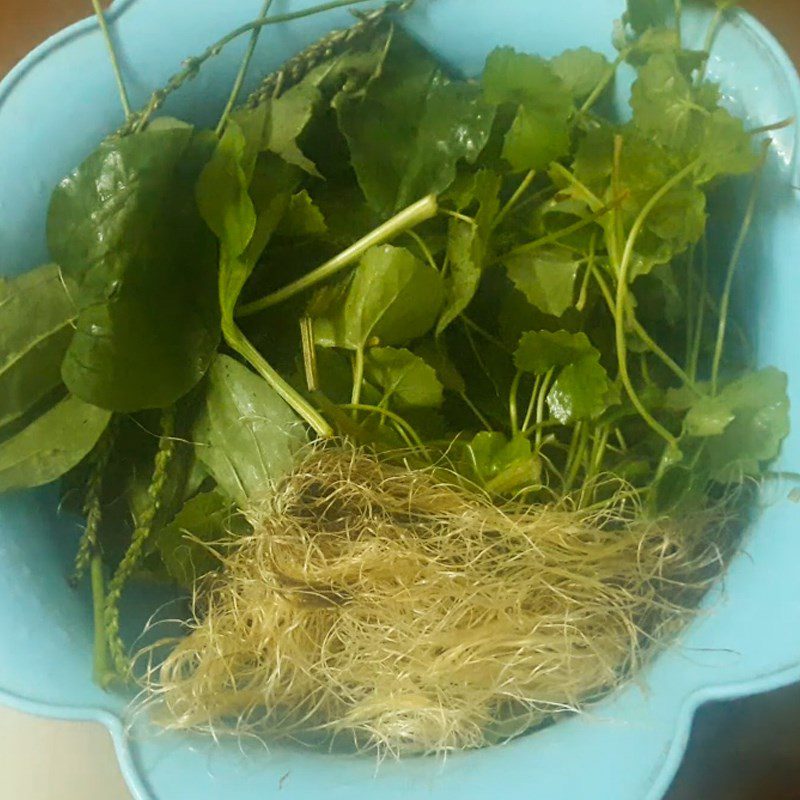 Step 1 Prepare the ingredients for Corn Silk Plantago Tea