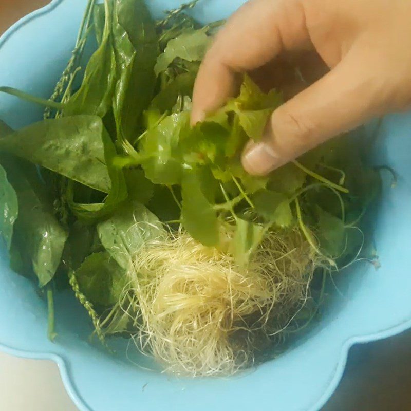 Step 1 Prepare the ingredients for Corn Silk Plantago Tea