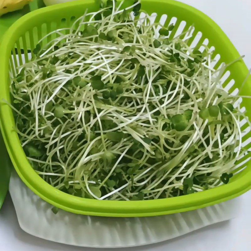 Step 2 Prepare the ingredients Bean sprouts mixed with oil and vinegar