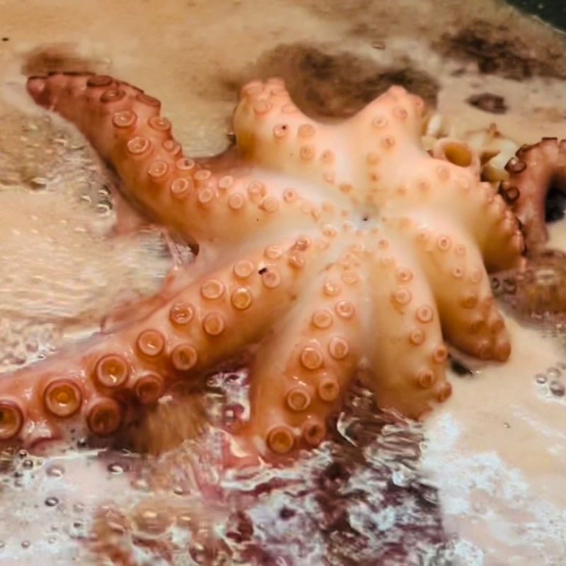 Step 1 Prepare the ingredients for Thai-style Octopus Salad