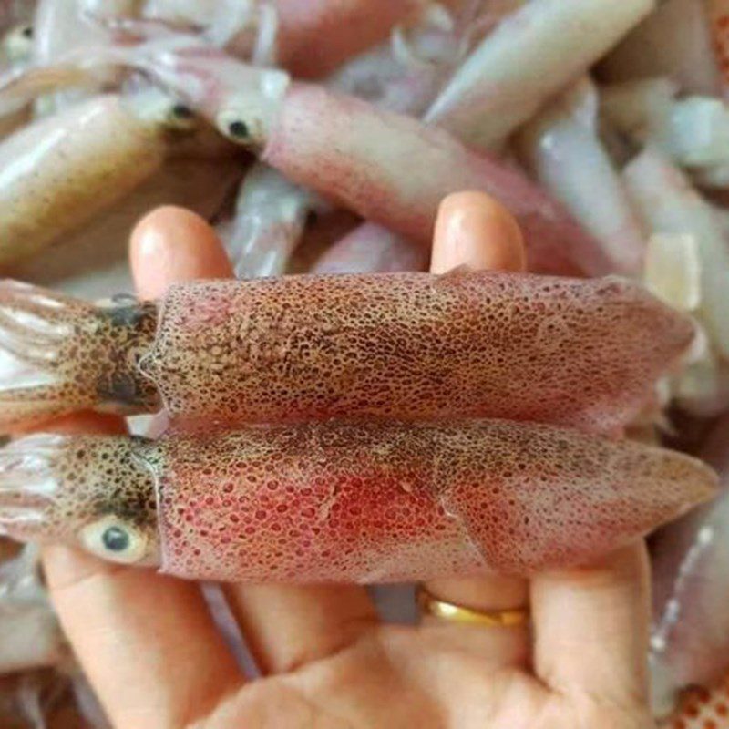 Step 1 Prepare the ingredients for Loofah Soup with Squid