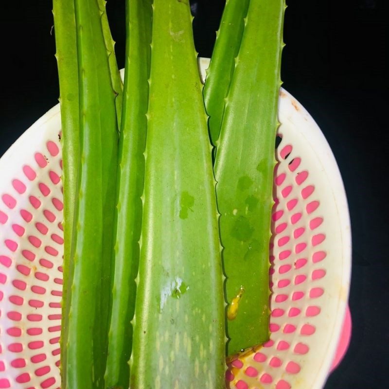 Step 1 Prepare Aloe Vera Aloe Vera Yogurt with Butterfly Pea Flower