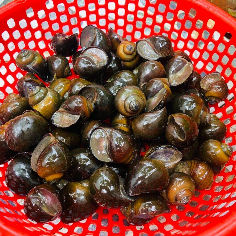 Step 1 Preparing Snails Spicy Ginger Snails