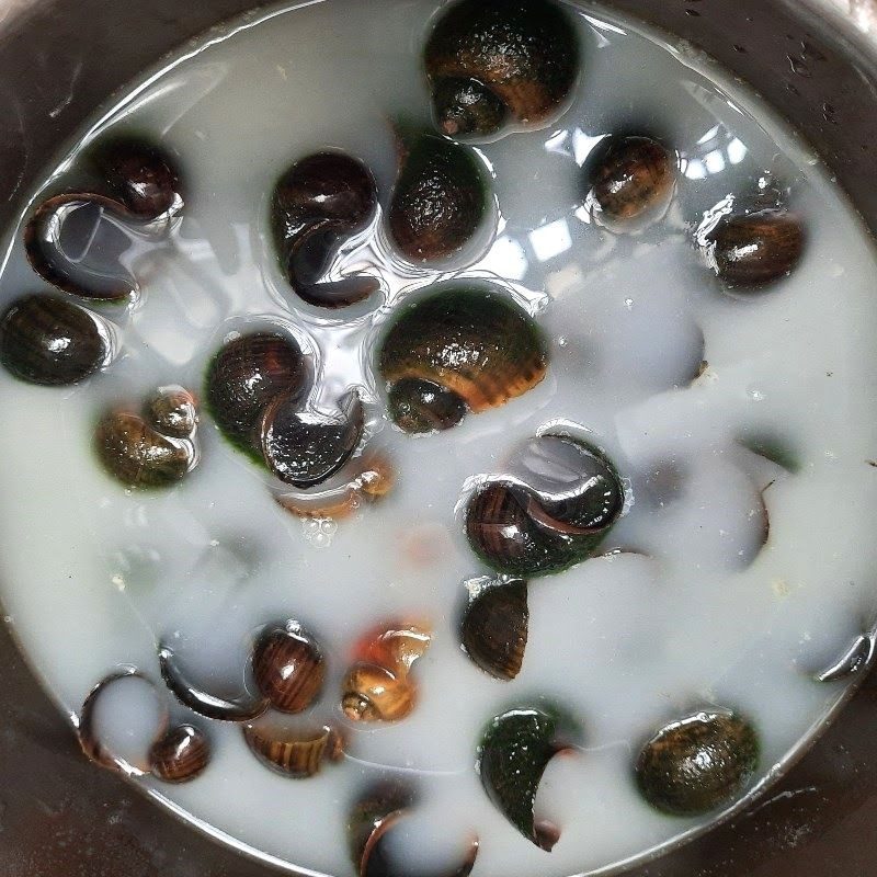 Step 1 Preparing the snails for Crispy Snail Cake
