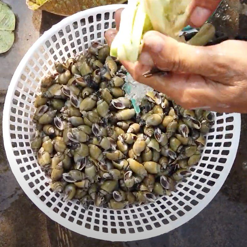 Step 1 Prepare the sipunculid snails Steamed sipunculid snails with lemongrass