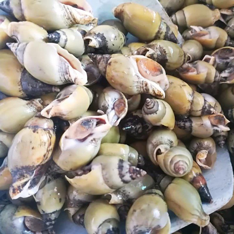 Step 1 Prepare the sipunculid snails Steamed sipunculid snails with lemongrass