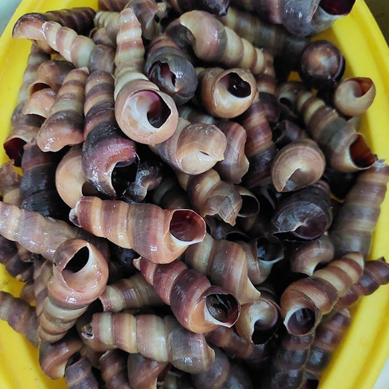 Step 1 Prepare the snails Stir-fried Snails with Coconut (fresh)