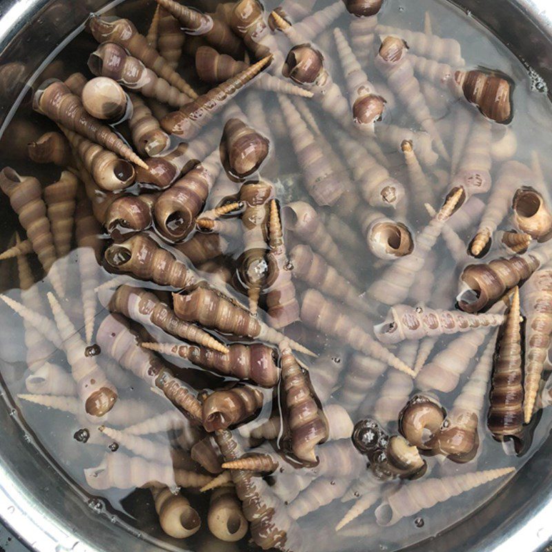Step 1 Prepare the snails Coconut Fried Snails (coconut powder)