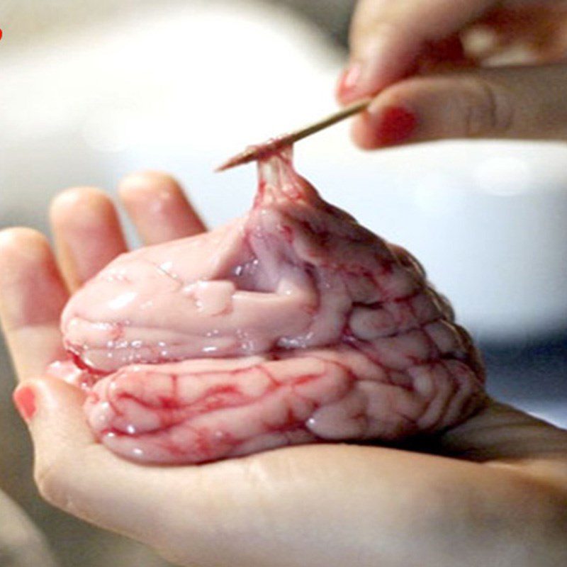 Step 1 Prepare pig brain Steamed pig brain with mugwort