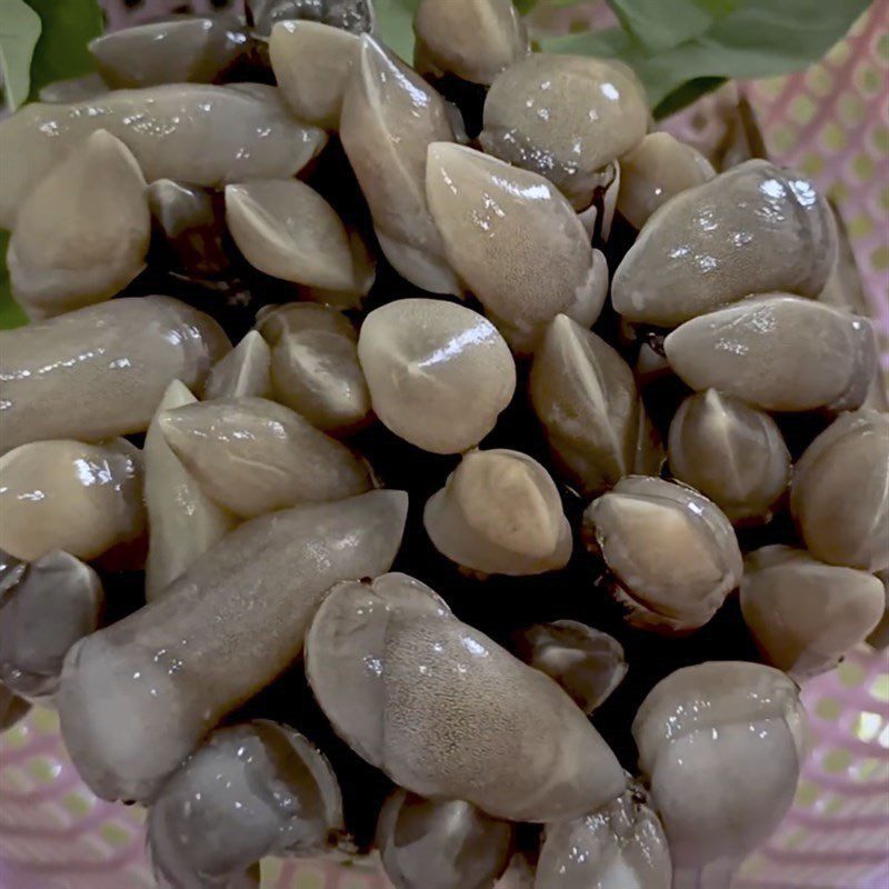 Step 1 Preparing razor clams Stir-fried razor clams with tamarind