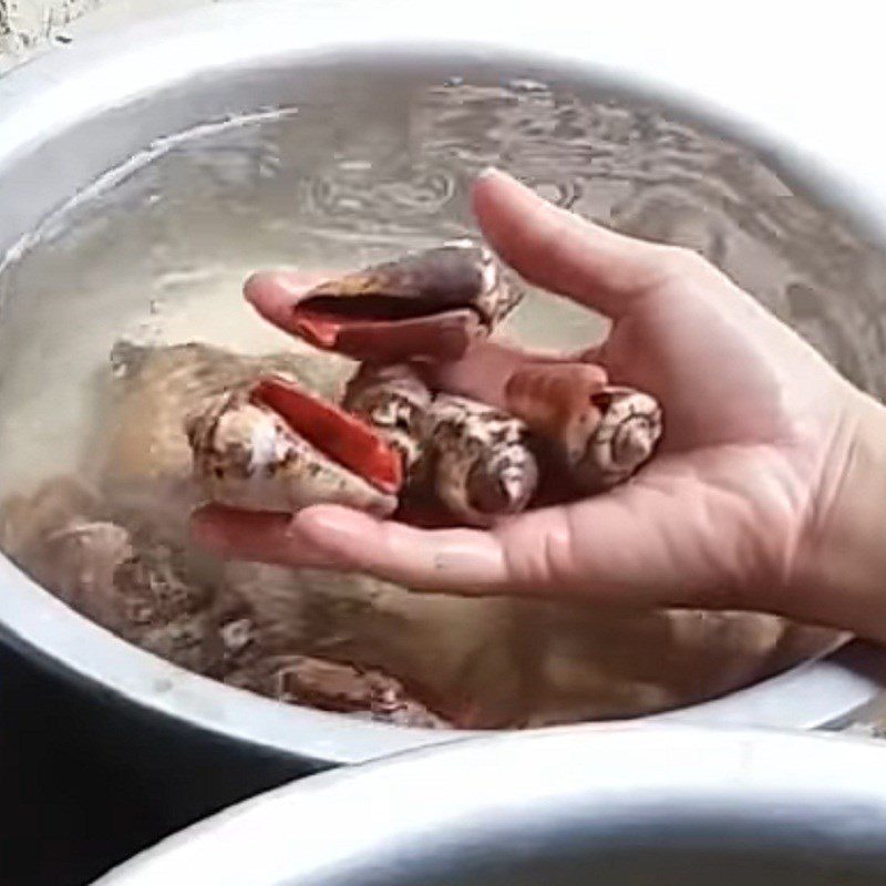 Step 1 Prepare the snails Stir-Fried Snails with Lemongrass and Chili