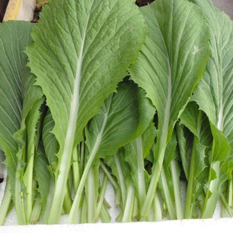 Step 1 Prepare the beef for grilling with mustard greens