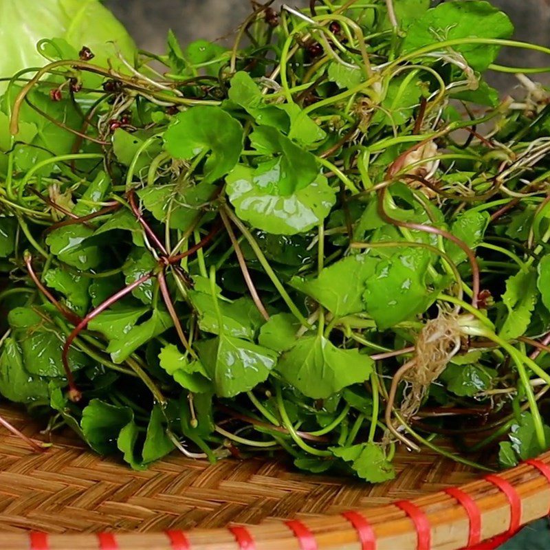 Step 2 Prepare the pennywort Stir-fried goose with pennywort