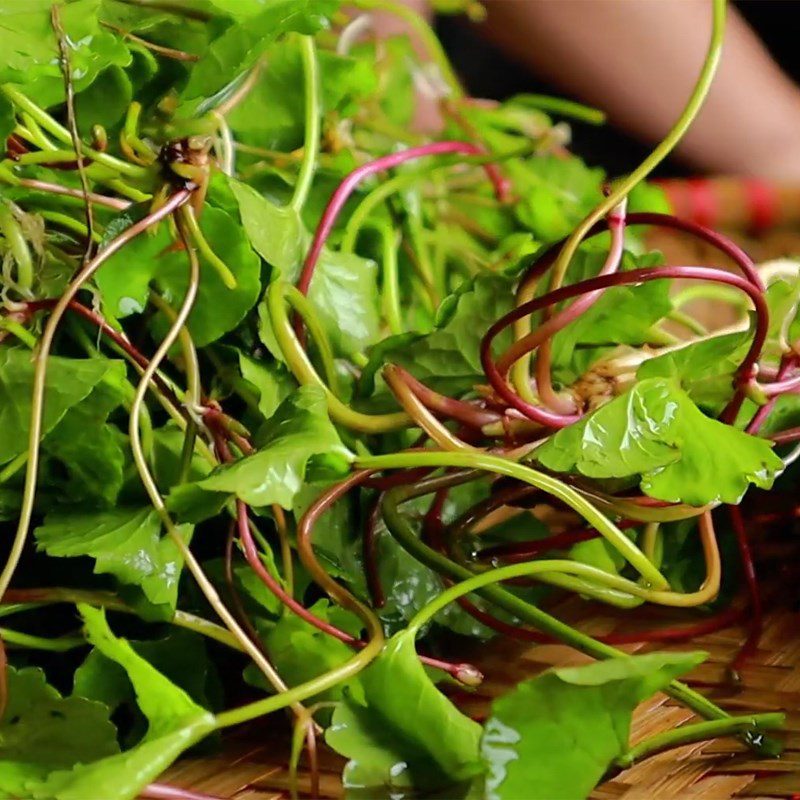 Step 2 Prepare the pennywort Stir-fried goose with pennywort