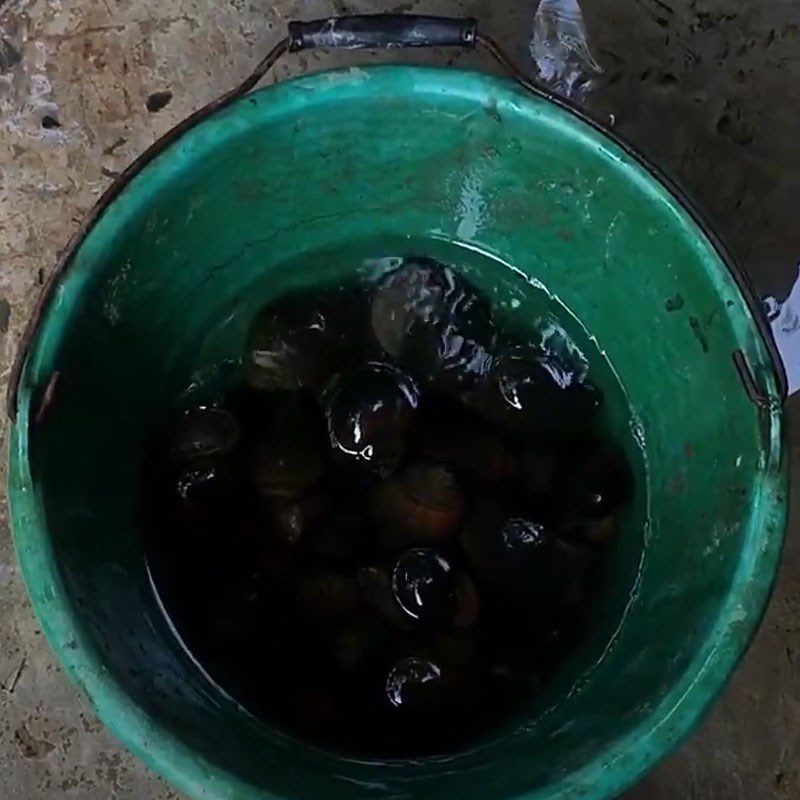 Step 1 Prepare pig ears and snails for Papaya Snail Salad