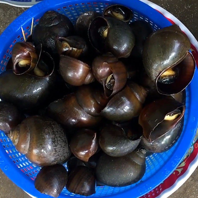 Step 1 Prepare pig ears and snails for Papaya Salad