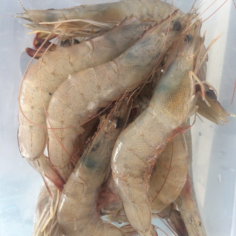 Step 1 Prepare the shrimp for Western shrimp paste