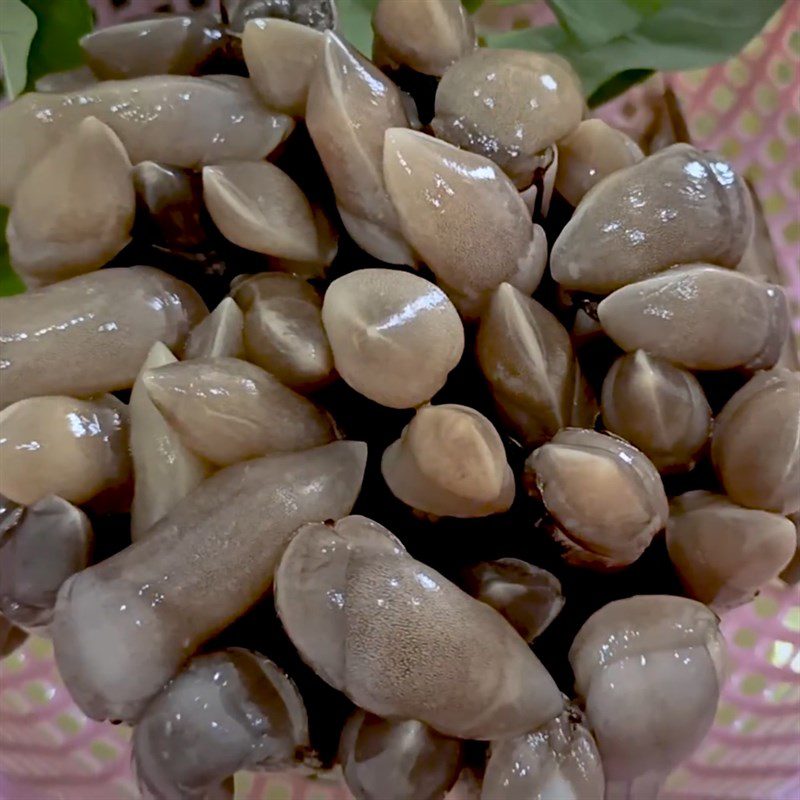 Step 1 Prepare and steam razor clams Stir-Fried Razor Clams with Water Spinach Noodles