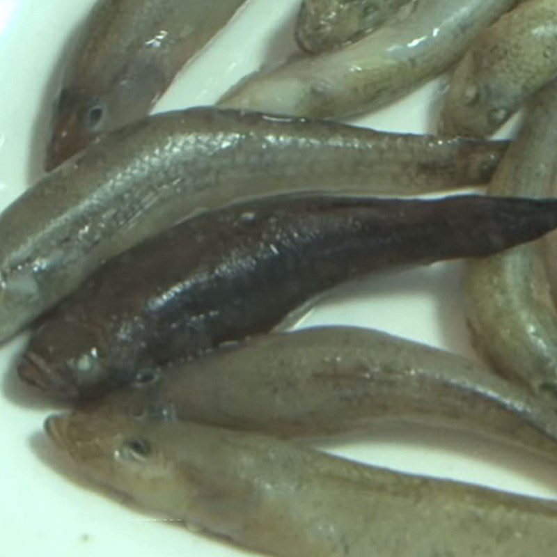 Step 2 Prepare and Boil the Goby Fish for Fish Congee