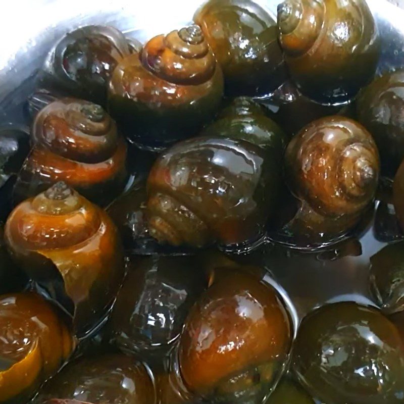 Step 1 Prepare and boil the apple snails Grilled Apple Snails with Green Pepper