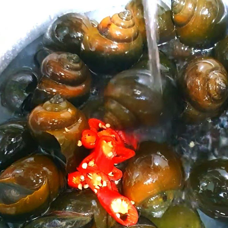 Step 1 Prepare and boil the apple snails Grilled Apple Snails with Green Pepper