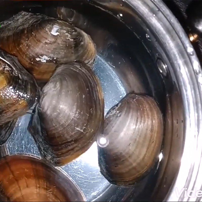 Step 1 Prepare and boil clams for the soup with water spinach