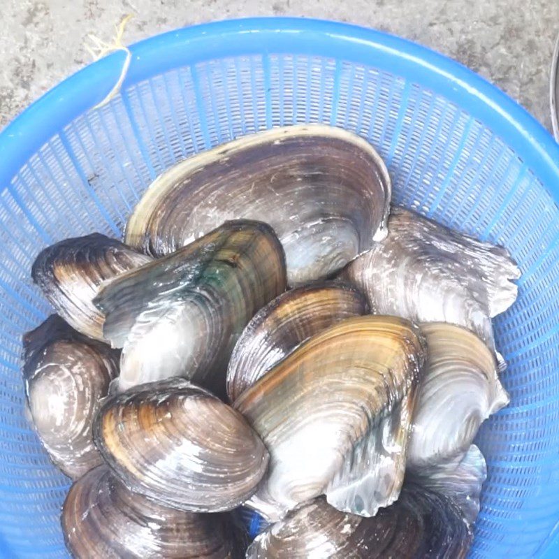 Step 1 Prepare and boil clams for Clam Vegetable Soup