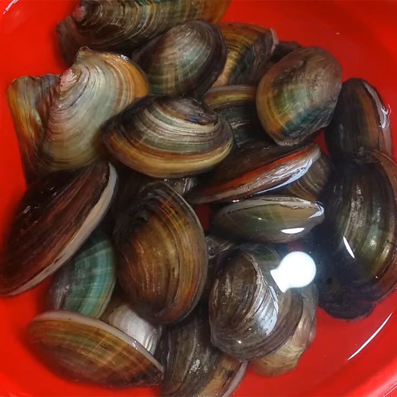 Step 1 Prepare and boil clams for Clam Soup with Water Spinach and Tomatoes