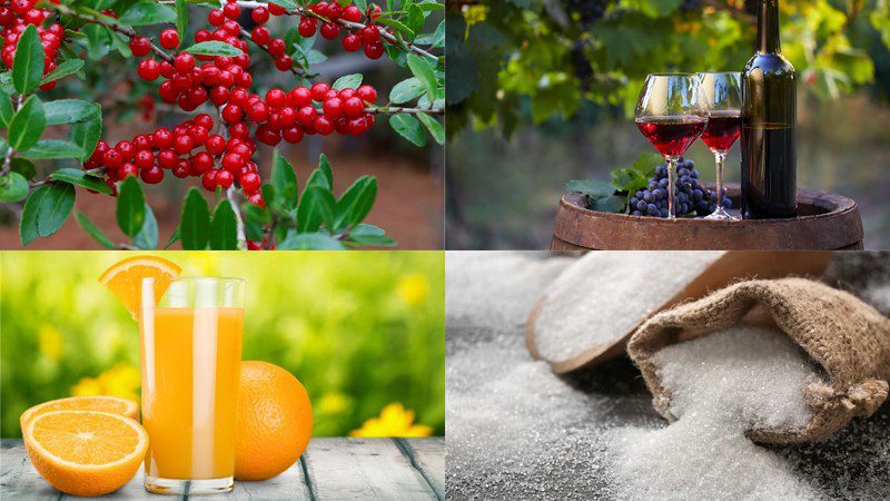 Ingredients for cranberry sauce dish