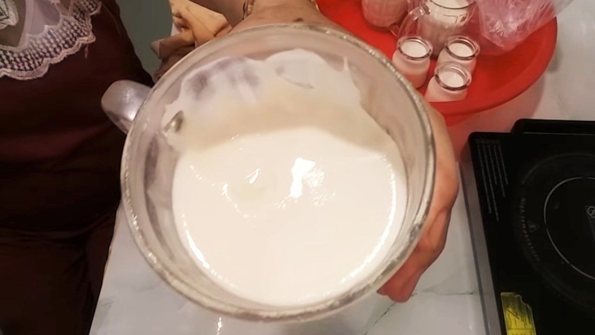 Yogurt from fresh milk (fermented by sunlight)