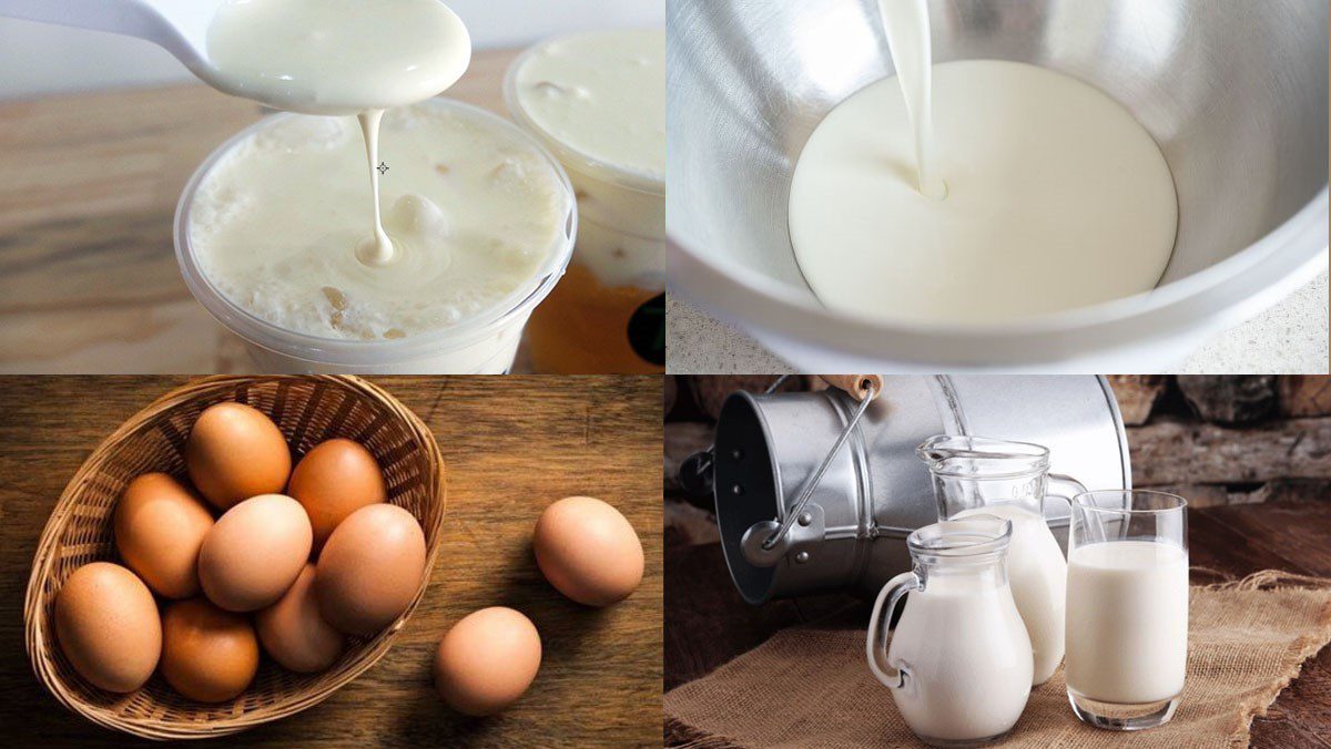 Ingredients for fresh milk with egg cream and black sugar pearls