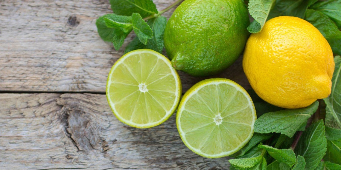 summary of types of limes how to choose and how to store limes 05601