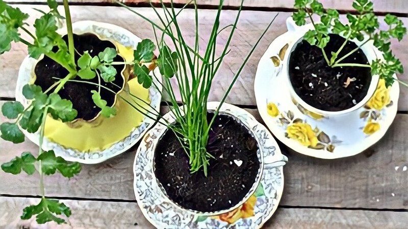 Using bowls and plates to make mini plant pots