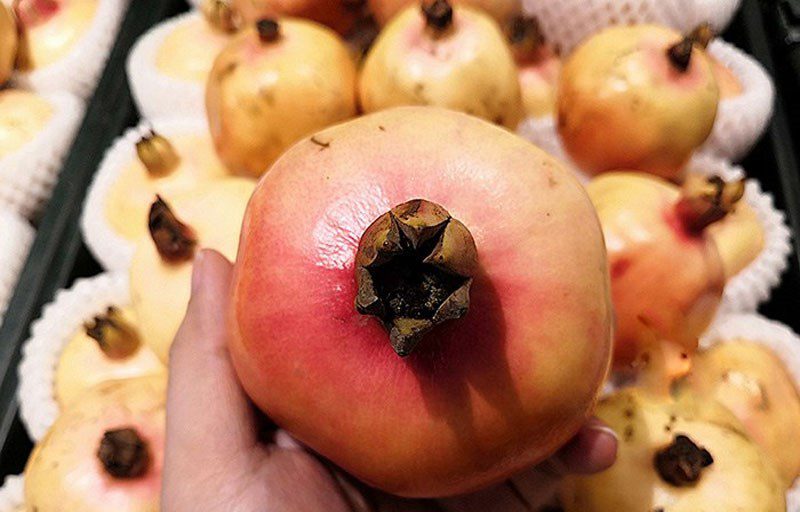 Pomegranate