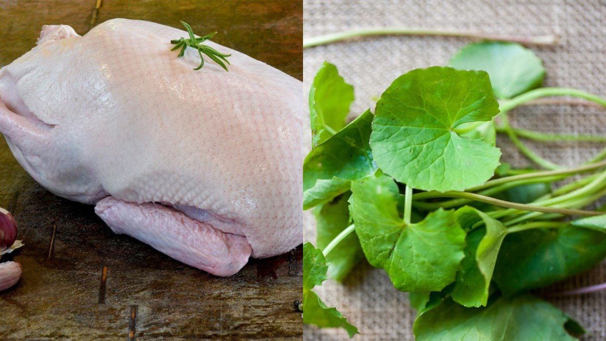 Ingredients for stir-fried duck meat with pennywort