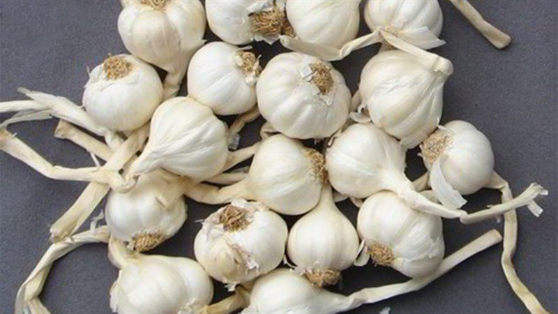 Ingredients for making dry garlic powder without an oven