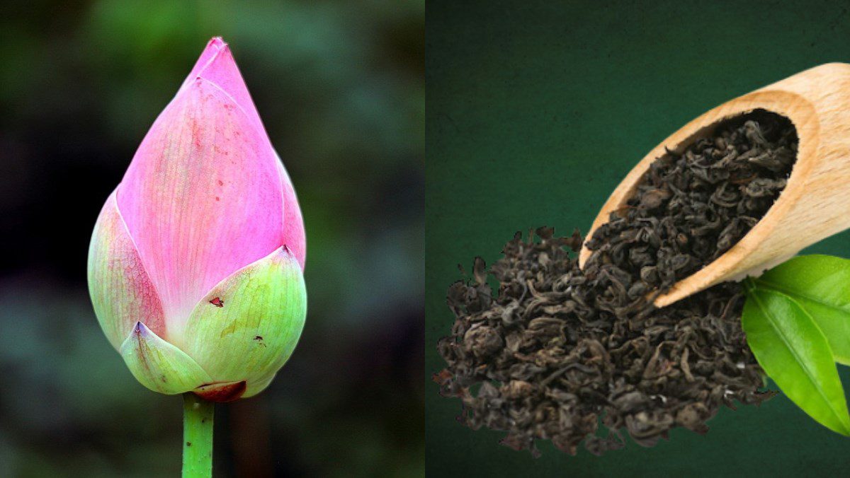 Ingredients for 3 ways to make flower tea