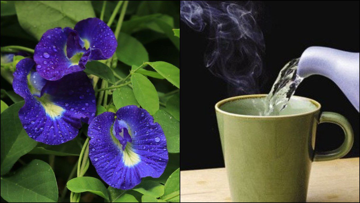 Ingredients for 3 ways to make flower tea