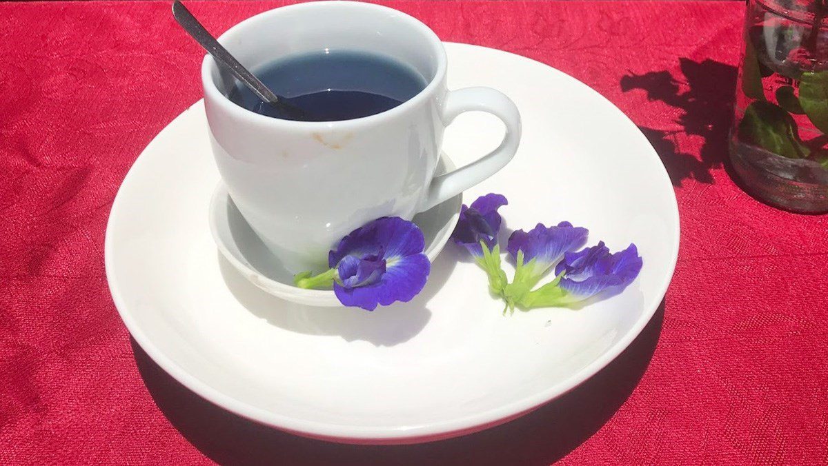 Dried butterfly pea flower tea