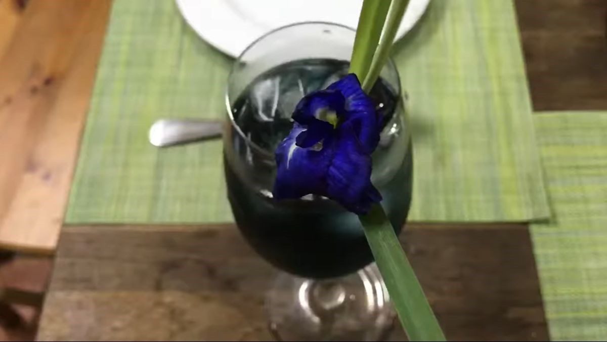 Lemongrass and Pandan Tea with Butterfly Pea Flower