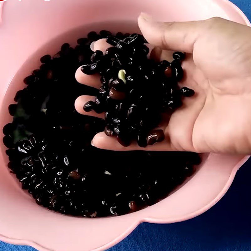 Step 1 Wash and Soak the Beans Black Bean Ice Cream