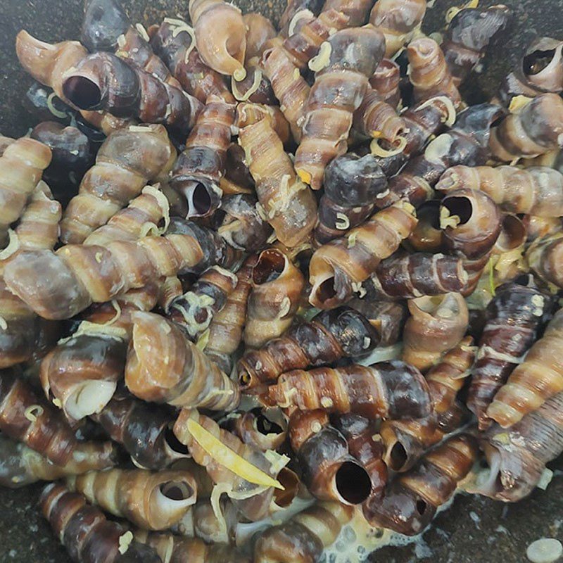 Step 3 Sauté the snails Coconut snails sautéed with coconut (fresh)