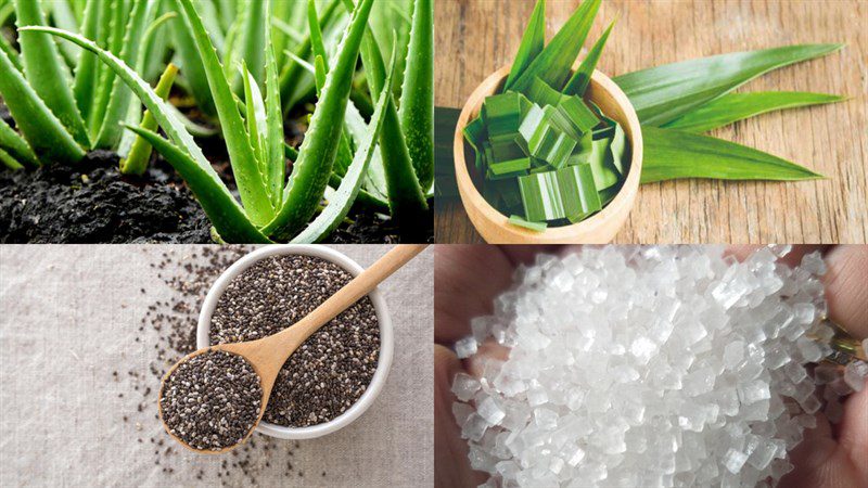 Ingredients for aloe vera with chia seeds and rock sugar, aloe vera with chia seeds and red apple, aloe vera with chia seeds and butterfly pea flower