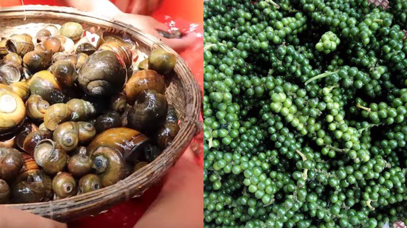 Ingredients for stir-fried spicy snails