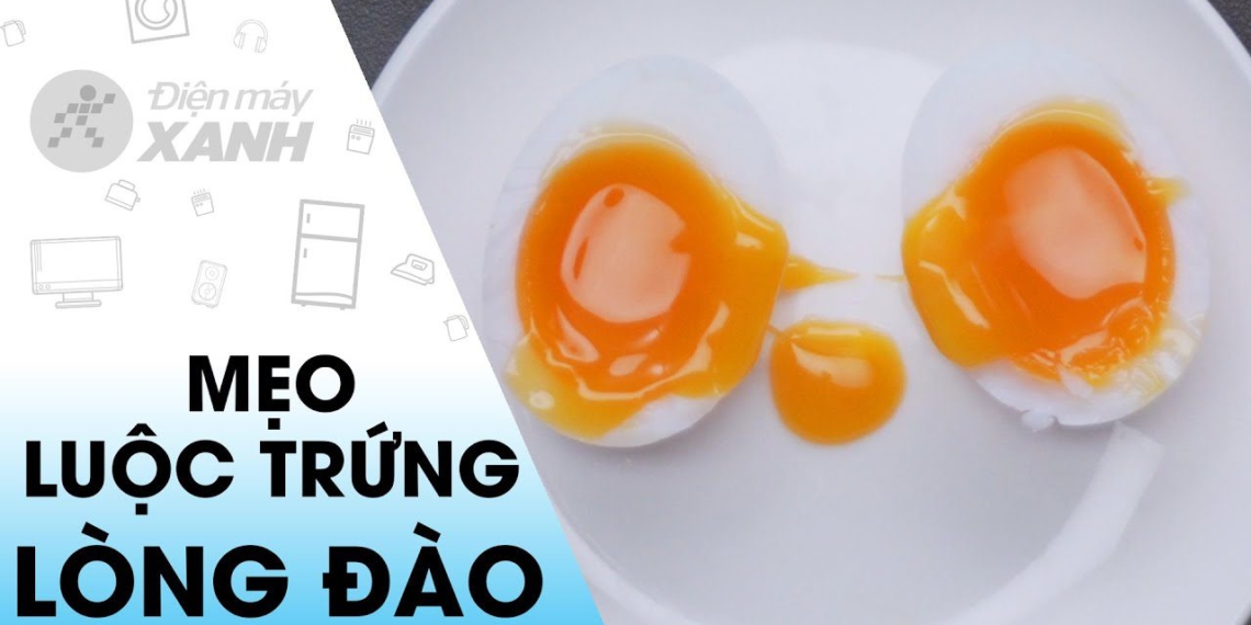4 tips to make delicious egg custard 01130