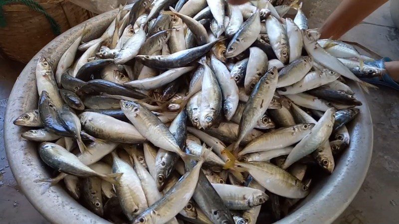 Ingredients for dried mackerel dish