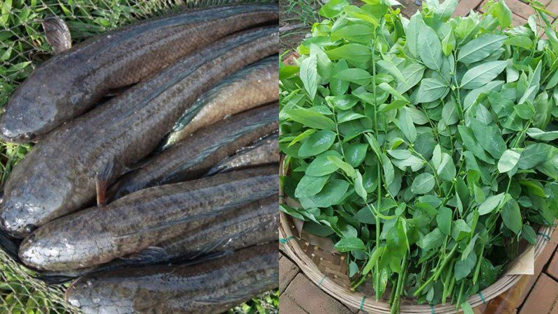 Ingredients for snakehead fish porridge with water spinach