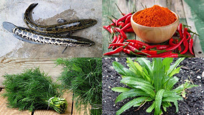 Ingredients for 2 ways to make grilled snakehead fish with chili salt